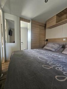 鲁西隆地区卡内Mobil home Sylvie et Alain的一间卧室配有一张大床,铺有地毯