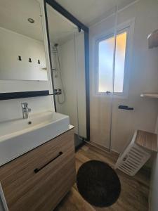 鲁西隆地区卡内Mobil home Sylvie et Alain的一间带水槽、镜子和淋浴的浴室
