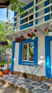 穆里吉奥尔Pescarul Deltei的蓝色和白色的房子,有窗户和鲜花