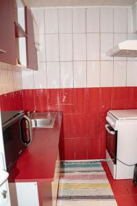 穆里吉奥尔Pescarul Deltei的铺有红色和白色瓷砖的厨房,配有水槽
