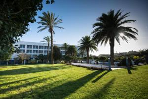 蓬塔德尔加达阿佐里斯皇家花园 - 休闲及会议酒店的一座棕榈树公园,位于一座建筑前