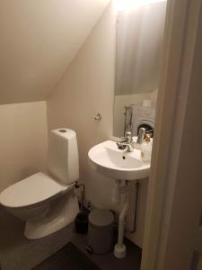 BroddetorpLilla lägenheten的一间带卫生间、水槽和镜子的浴室