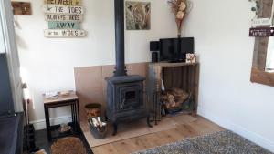 惠特比Thyme Cottage的客厅设有壁炉和电视。