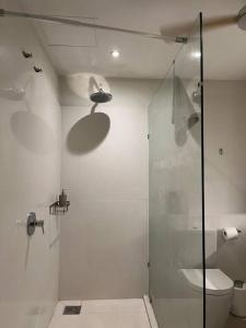 塔马兰Beachfront Apartment的一间带卫生间和玻璃淋浴间的浴室