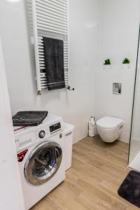 卢布林Apartament Lubartowska的一间带卫生间的浴室内的洗衣机