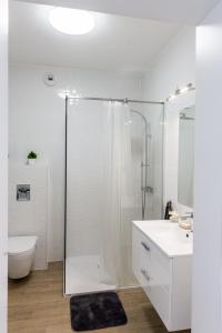卢布林Apartament Lubartowska的带淋浴、卫生间和盥洗盆的浴室