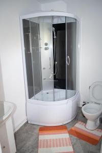穆里吉奥尔Pescarul Deltei的带淋浴和卫生间的浴室
