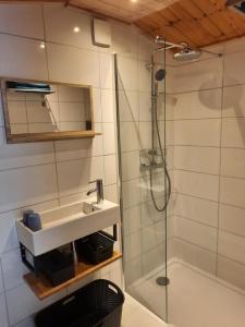 WapenveldB&B Paardenhof的一间带水槽和淋浴的浴室
