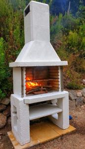 伊斯基亚La Casetta nel Bosco的石头炉,炉内有火
