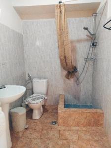 斯卡拉索提罗斯Sunray Separate Villa的带淋浴、卫生间和盥洗盆的浴室