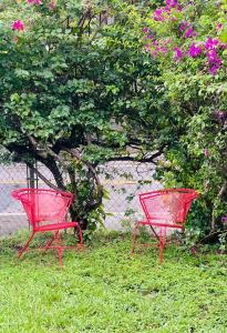 Key West Style Historic Home in Coconut Grove Florida The Yellow House外面的花园