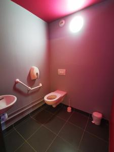 莫尔莱Auberge de Jeunesse de Morlaix的一间带粉红色卫生间和盥洗盆的浴室