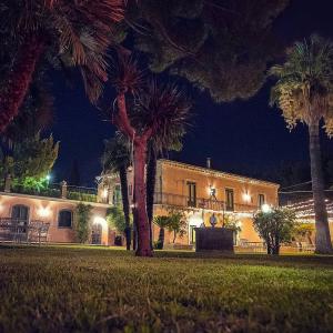 马斯卡卢恰Le stanze dei Mori - quadrupla con bagno privato的一座棕榈树在晚上的建筑