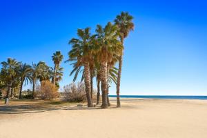 坎布里尔斯Casa Chamizo的沙滩上的棕榈树