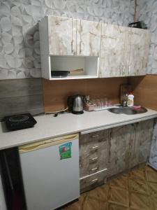 亚列姆切V Ulyanu的一间带水槽和冰箱的小厨房