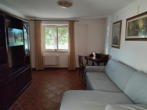 Appartamento stile rustico in collina的客厅配有沙发和桌子