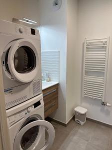 安锡Lac arte postale的洗衣房配有洗衣机和洗衣机