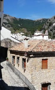 格拉茨莱马Lovely Town House Casa La Senda的一座古老的石头房子,设有瓷砖屋顶