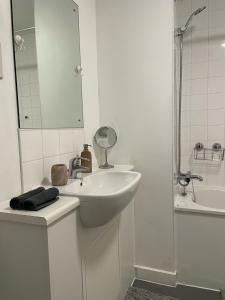 伦敦Spacious Flat in Manor House, London的白色的浴室设有水槽和淋浴。