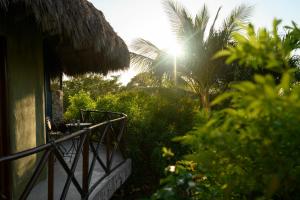 Higuera BlancaLitibu Suites Beach House的阳光照耀着树木的房子的阳台