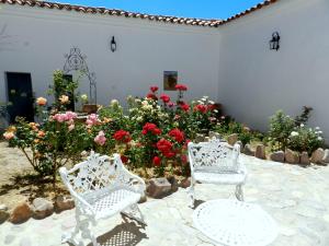 乌玛瓦卡切洛阿里巴度假屋的两把白色椅子坐在鲜花前