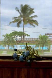 花莲市海戀初衷文旅 近東大門的享有棕榈树景致的窗户