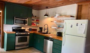 StrawberryCabin #8的厨房配有绿色橱柜和白色冰箱