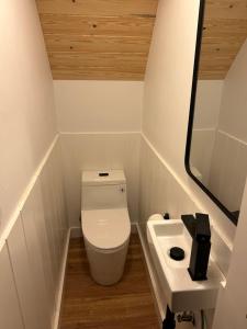 StrawberryCabin #8的一间带卫生间和水槽的小浴室