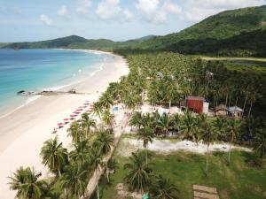 爱妮岛Nacpan Beach Glamping的享有棕榈树海滩和大海的空中景致