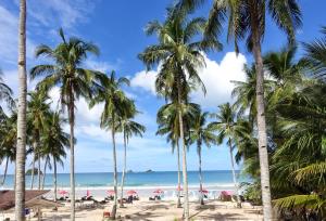 爱妮岛Nacpan Beach Glamping的棕榈树海滩和海洋