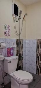 独鲁万CHATEAU DE CHLOE - 3 Bedroom Entire Apartment for Large Group的浴室配有卫生间和淋浴,墙上配有电视。
