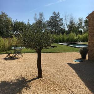 格里莫Villa neuve et moderne avec piscine à Grimaud的院子里的树,带野餐桌