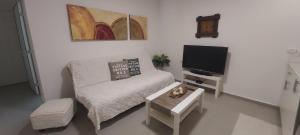 Beʼer Oraפינה קטנה בערבה的小型客厅配有床和电视