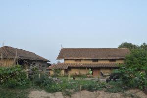 Bhada Community Homestay的站在建筑前的象
