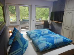 魏申费尔德Pension Pulvermühle的一间卧室配有一张带蓝色枕头的床。
