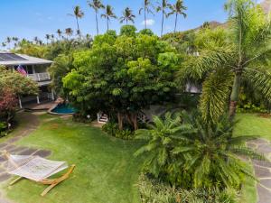 凯卢阿Lanikai Ohana Hale的棕榈树房屋后院的空中景致