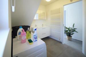 BrechtHoliday Home De Steenen Molen的浴室的柜台上配有两瓶洗涤剂