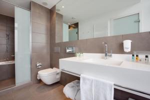 德累斯顿德雷斯顿 - 茨温格宫假日酒店的一间带水槽、卫生间和镜子的浴室