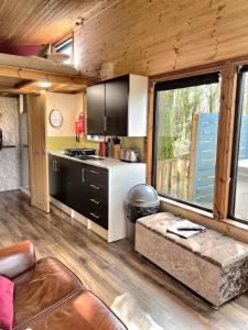 卡马森Tiny House-Hot Tub-St Clears-Pembrokeshire-Tenby的一间厨房和客厅,位于一个小房子里