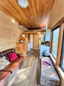 卡马森Tiny House-Hot Tub-St Clears-Pembrokeshire-Tenby的带沙发和木墙的客厅