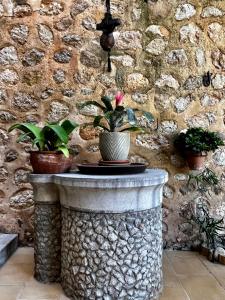 索列尔Casa Bougainvillea的石墙,上面有盆栽的桌子