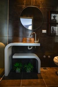 圣达菲Ambit Boulevard Hotel Boutique的浴室设有水槽、镜子和植物