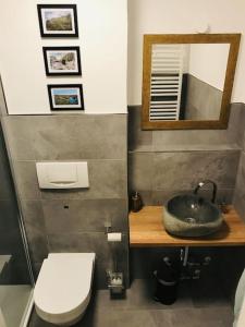 布劳恩拉格Harzchalet Emma Braunlage的一间带水槽、卫生间和镜子的浴室