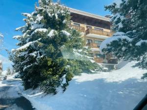 谷雪维尔Lovely Apt Chalet Courchevel 1650的建筑物前的雪覆盖的树