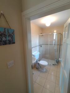 The Burren B&B的带淋浴、卫生间和盥洗盆的浴室