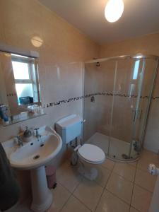 The Burren B&B的浴室配有卫生间、淋浴和盥洗盆。