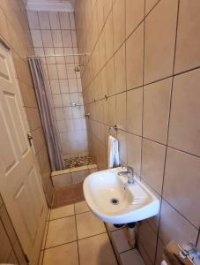 约翰内斯堡Houghton Skye的一间带水槽和淋浴的小浴室