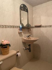 SusaHospedaje Casa Lola的一间带水槽、卫生间和镜子的浴室