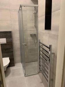 布拉格卜贝内克公寓的设有带卫生间的浴室内的淋浴间