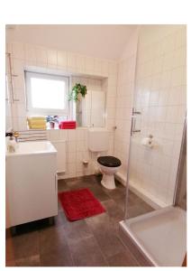 汉诺威Haus Sperbermühle的浴室配有卫生间、盥洗盆和淋浴。